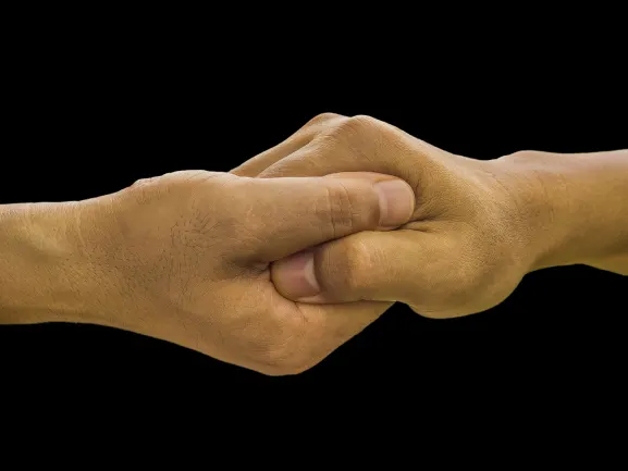 ריץ' פאלמס קזינו תמיכה